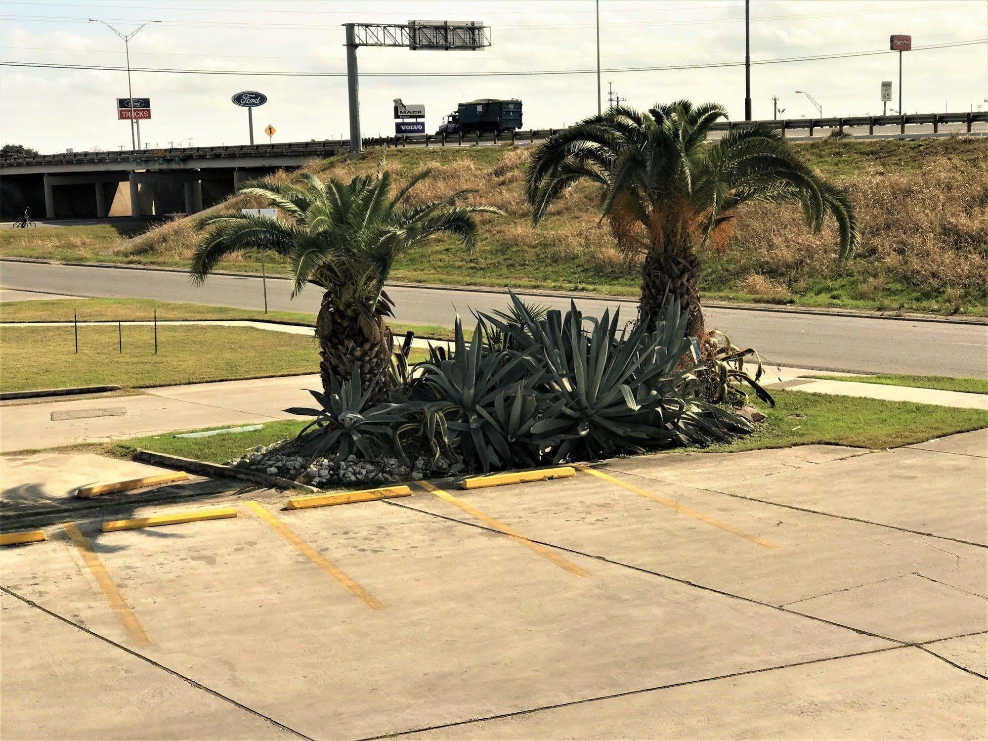 Hometowne Studios By Red Roof San Antonio E - Frost Bank Center Bagian luar foto